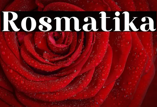 Rosmatika Example 2