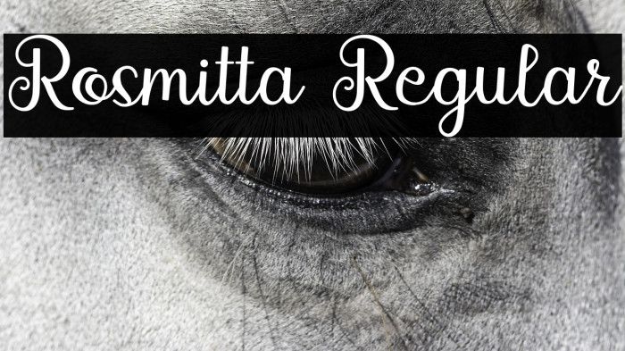 Rosmitta Regular Example 1
