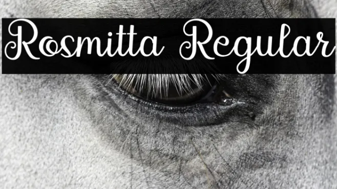 Rosmitta Regular Example 1