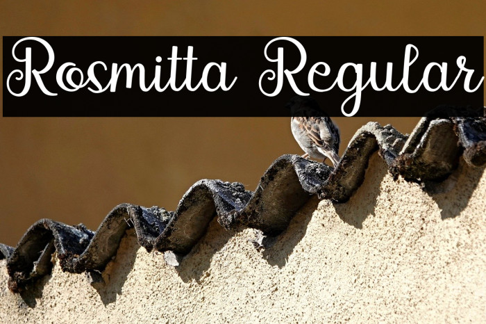 Rosmitta Regular Example 2