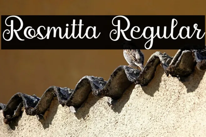 Rosmitta Regular Example 2