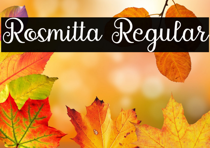 Rosmitta Regular Example 3