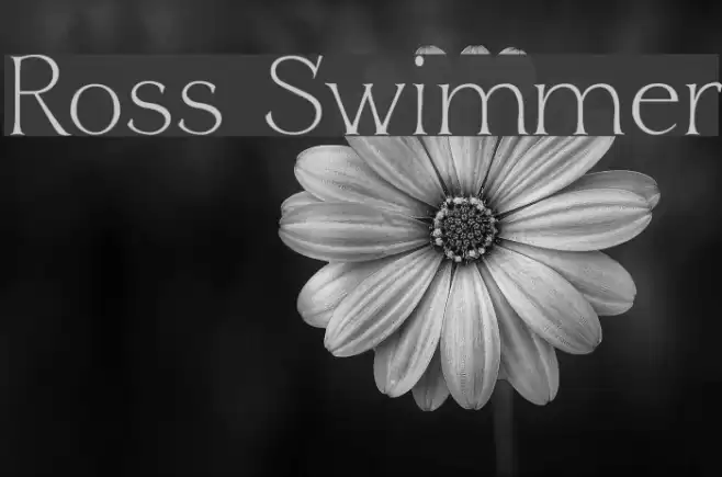 Ross Swimmer Font examples