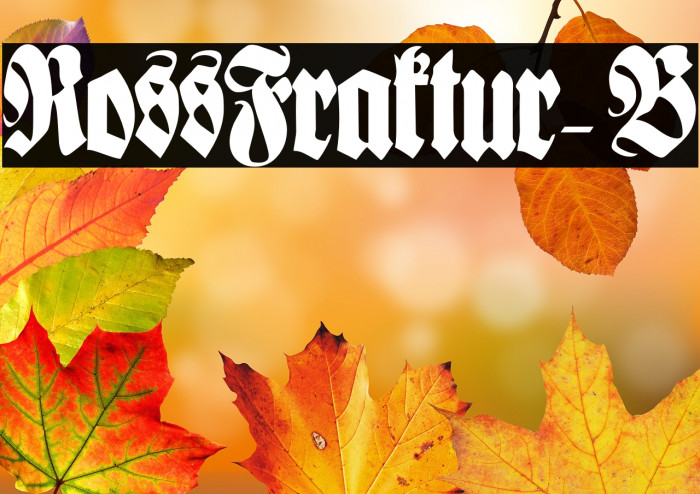 RossFraktur-B Example 2