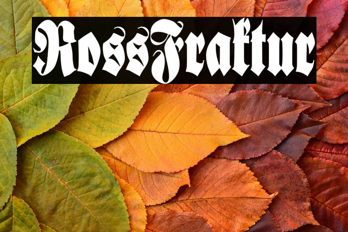 RossFraktur Example 3