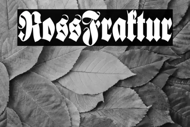 RossFraktur Fonte examples
