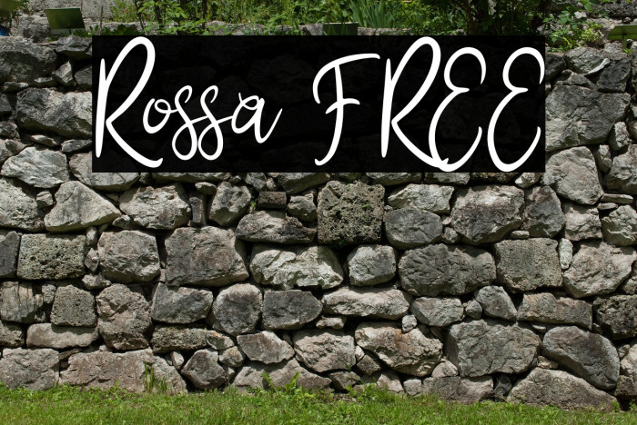 Rossa FREE Example 1