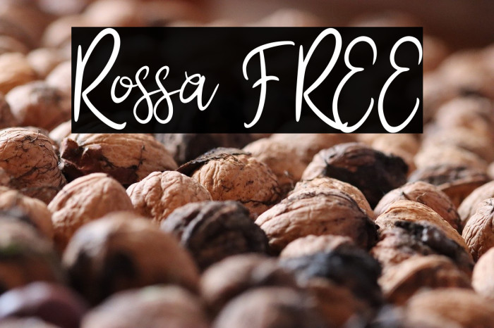 Rossa FREE Example 2