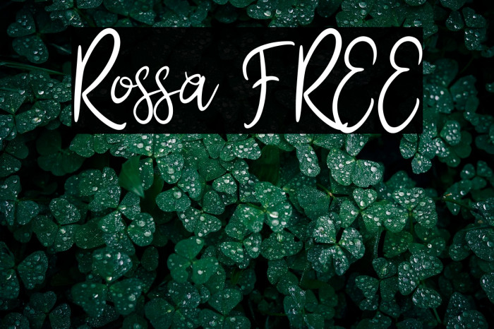 Rossa FREE Example 3