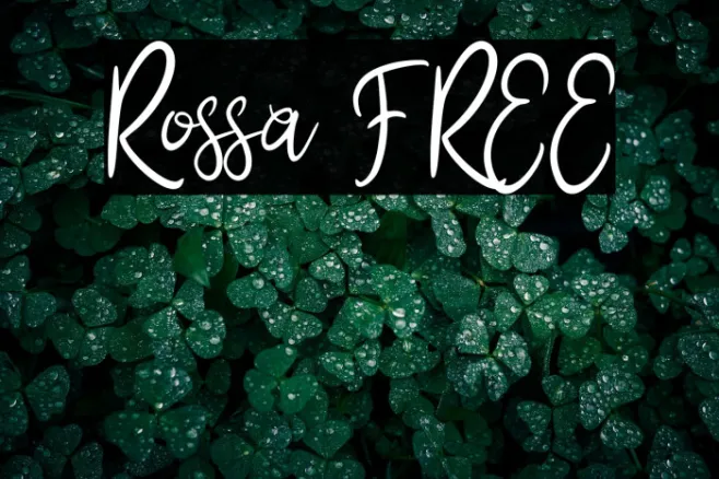 Rossa FREE Example 3