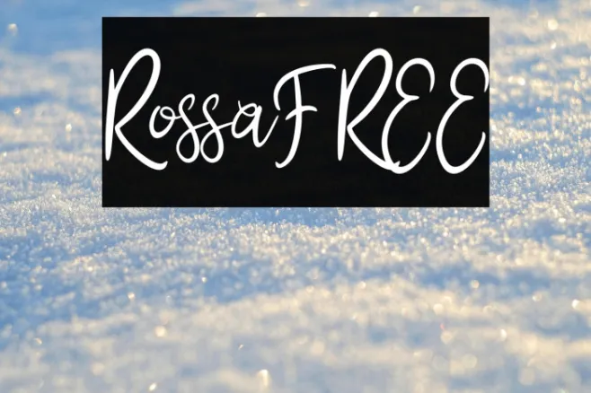 RossaFREE Example 1