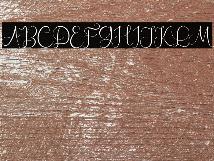 RossaliaShineRegular Example 1