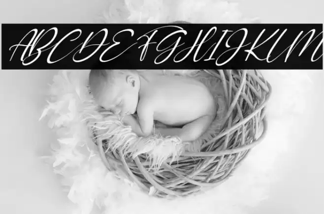 Rossalina Emma Italic Font examples