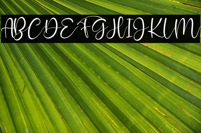 Rossalina Emma Example 1