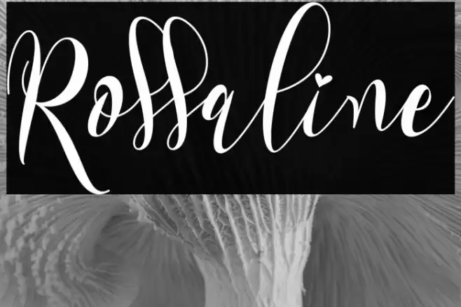 Rossaline Font examples