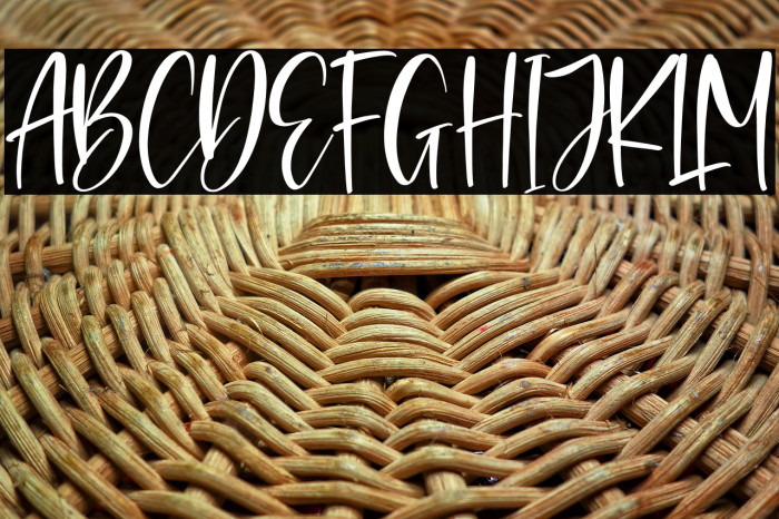 Rossalyta Nataly Example 1