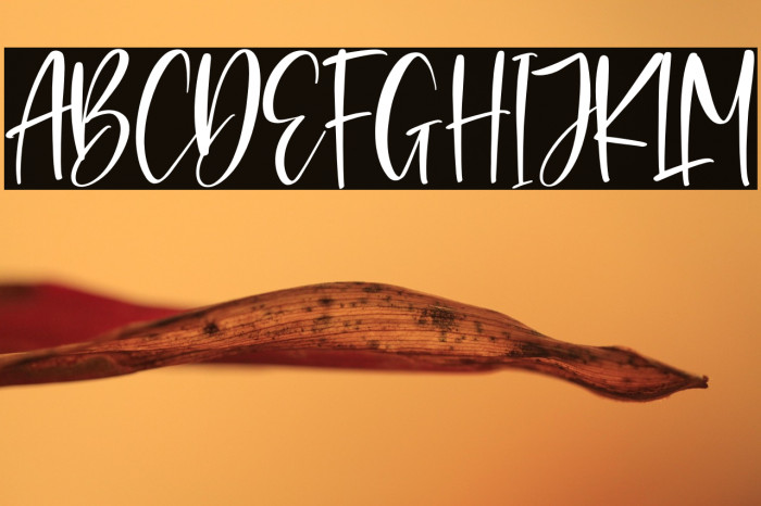 Rossalyta Nataly Example 3