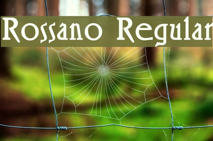 Rossano Regular Font examples
