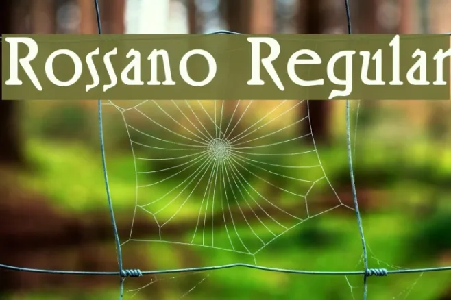Rossano Regular Example 2