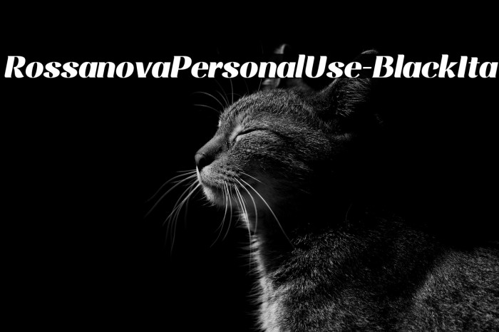 RossanovaPersonalUse-BlackIta Example 2