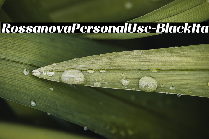 RossanovaPersonalUse-BlackIta Example 3