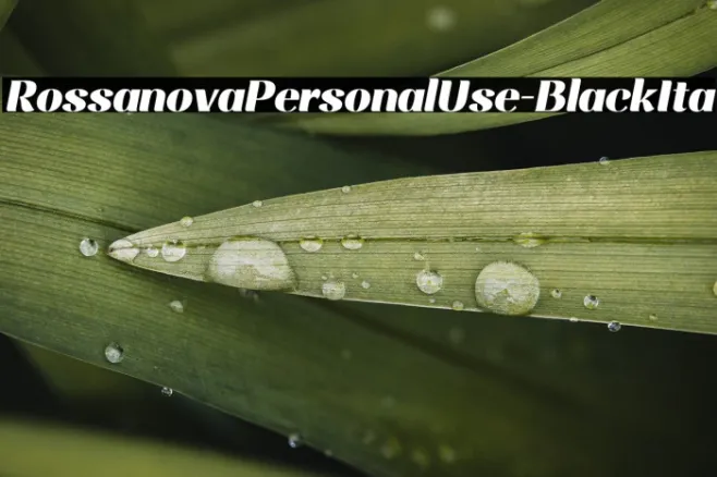 RossanovaPersonalUse-BlackIta Example 3