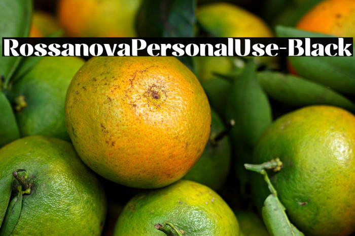 RossanovaPersonalUse-Black Example 1