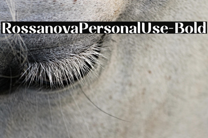 RossanovaPersonalUse-Bold Example 1