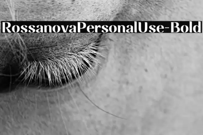 RossanovaPersonalUse-Bold Font examples