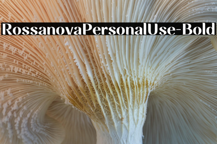 RossanovaPersonalUse-Bold Example 3