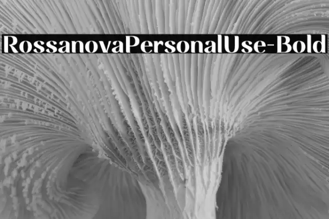 RossanovaPersonalUse-Bold Font examples