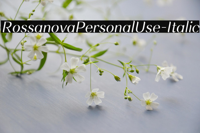 RossanovaPersonalUse-Italic Example 1