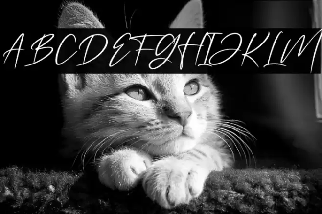 Rossatelly Font examples