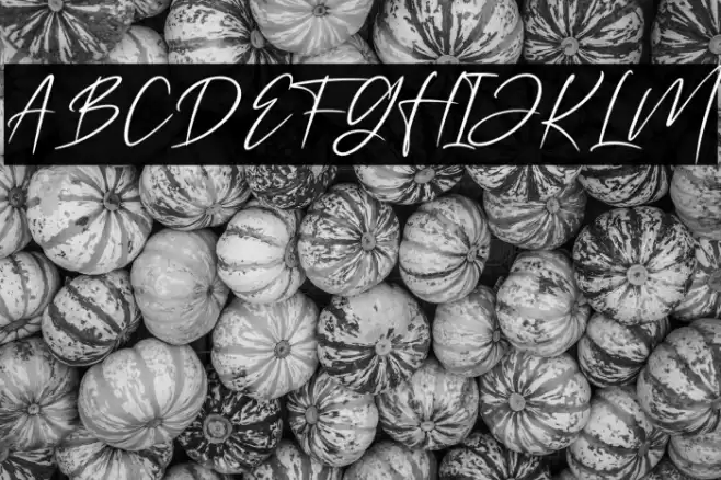 Rossatelly Font examples