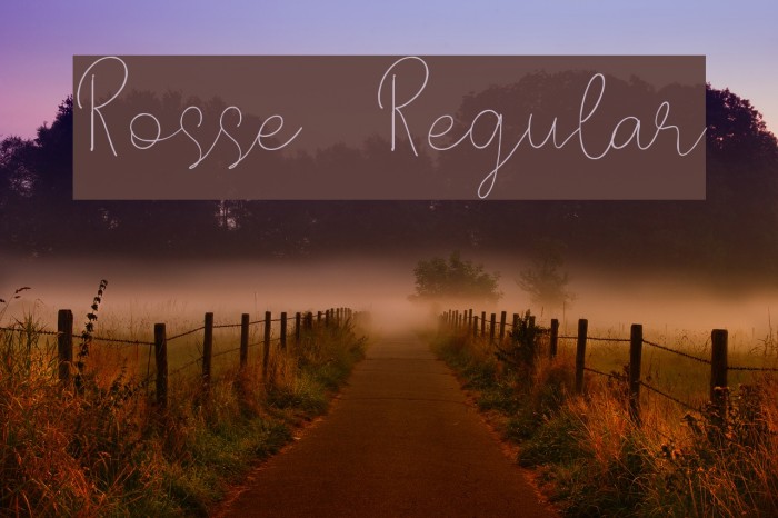 Rosse DEMO Regular Example 1