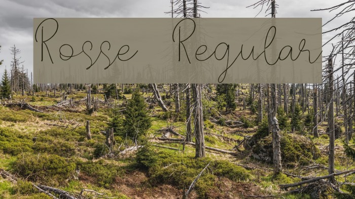 Rosse DEMO Regular Example 2