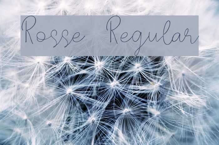 Rosse DEMO Regular Example 3