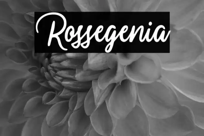 Rossegenia Font examples