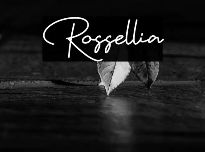 Rossellia Font examples