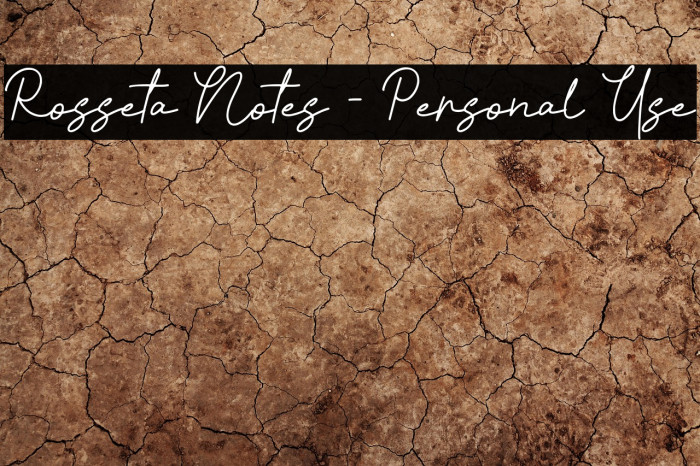 Rosseta Notes - Personal Use Example 1