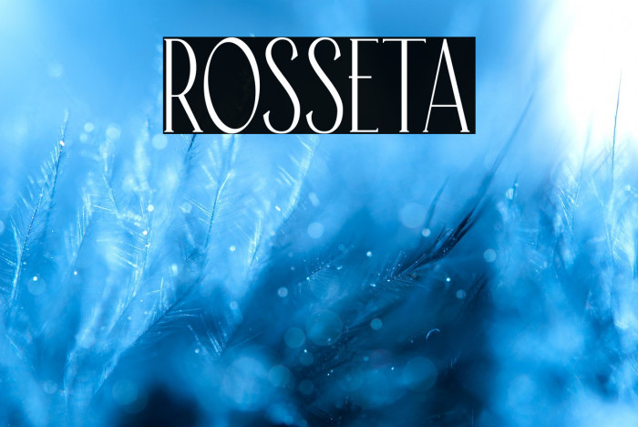Rosseta Example 2