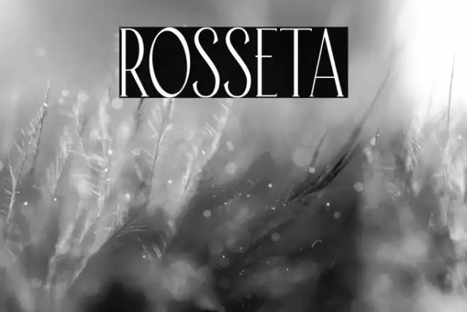 Rosseta Font examples