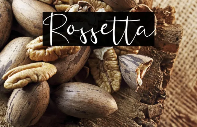 Rossetta Example 2