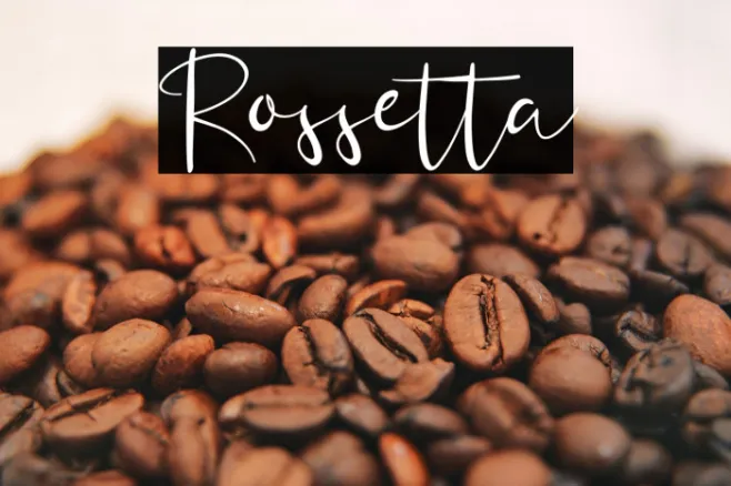 Rossetta Example 3