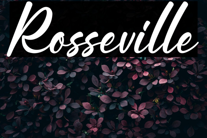 Rosseville Example 1