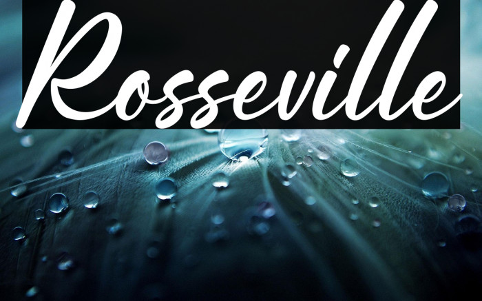 Rosseville Example 3