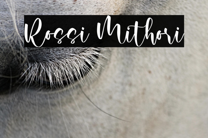 Rossi Mithori Example 1