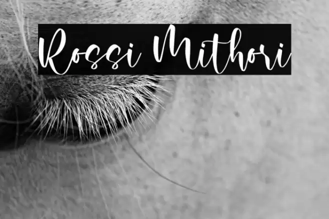 Rossi Mithori Font examples