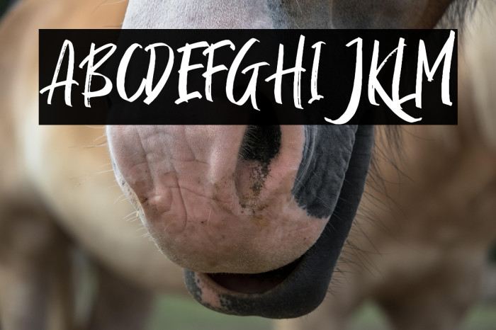 RossieKellyDEMO Example 1