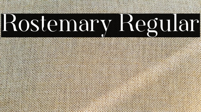Rostemary Regular Example 1